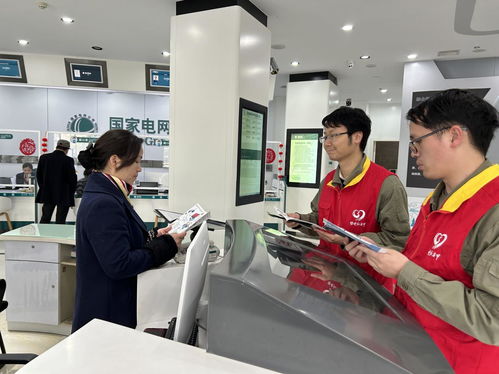 國網咸寧供電公司聯合大連家政服務企業開展3.15優質服務宣傳活動，共筑誠信服務新生態